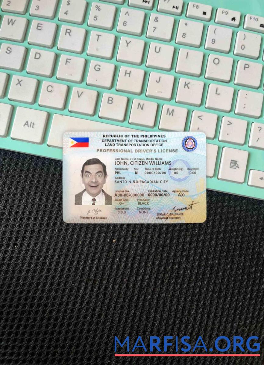 Blank Philippines driving license photolook download for verification